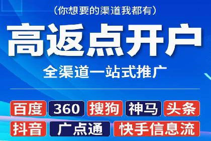 行业领先SEM托管代运营案例